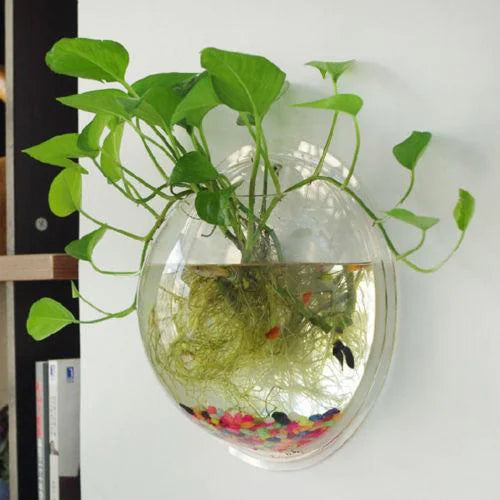 Hanging Glass Bowl Vase — Free, Just Pay Shipping Moderne Vases