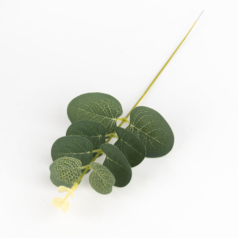 Eucalyptus Flowers Moderne Vases