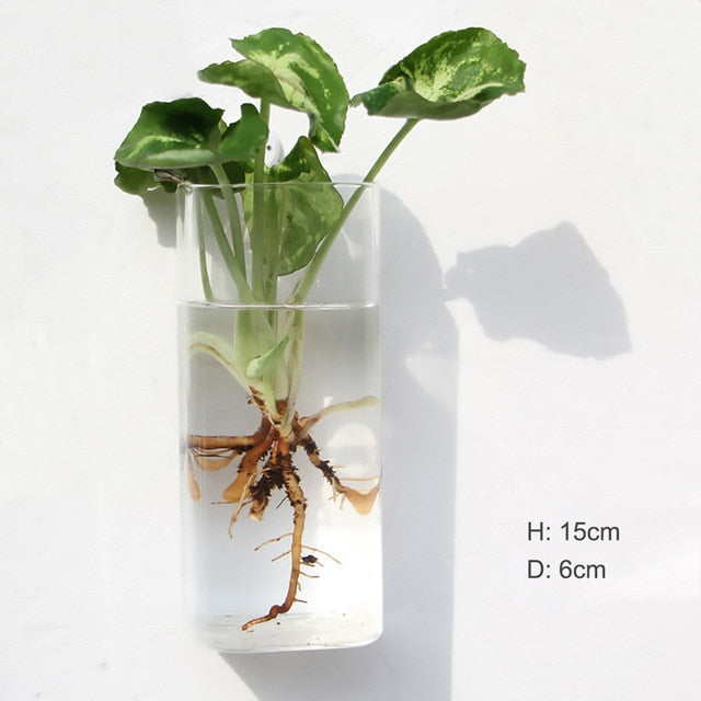 Wall Hanging Glass Vases Moderne Vases