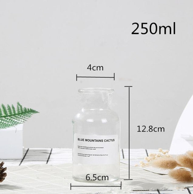Apothecary Glass Vase Moderne Vases