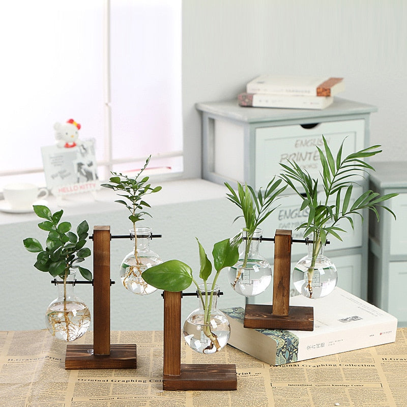 Hydroponic Plant Vases Moderne Vases
