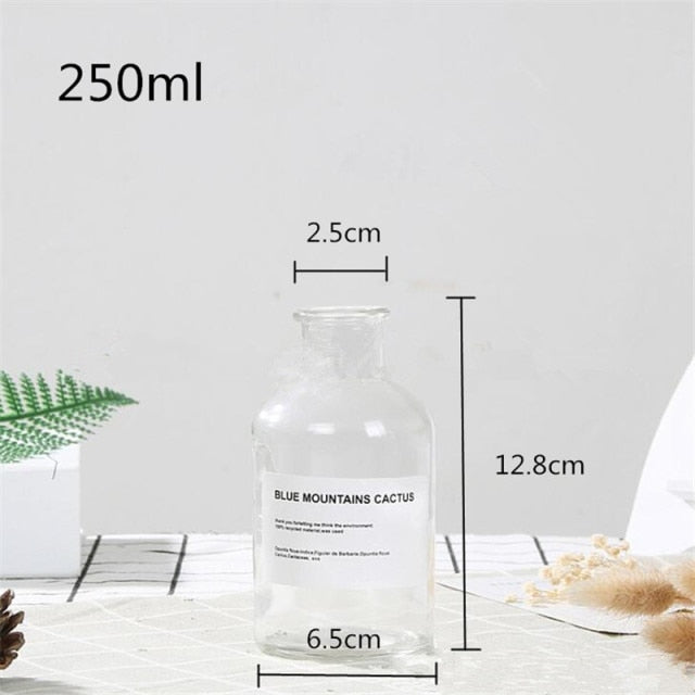 Apothecary Glass Vase Moderne Vases