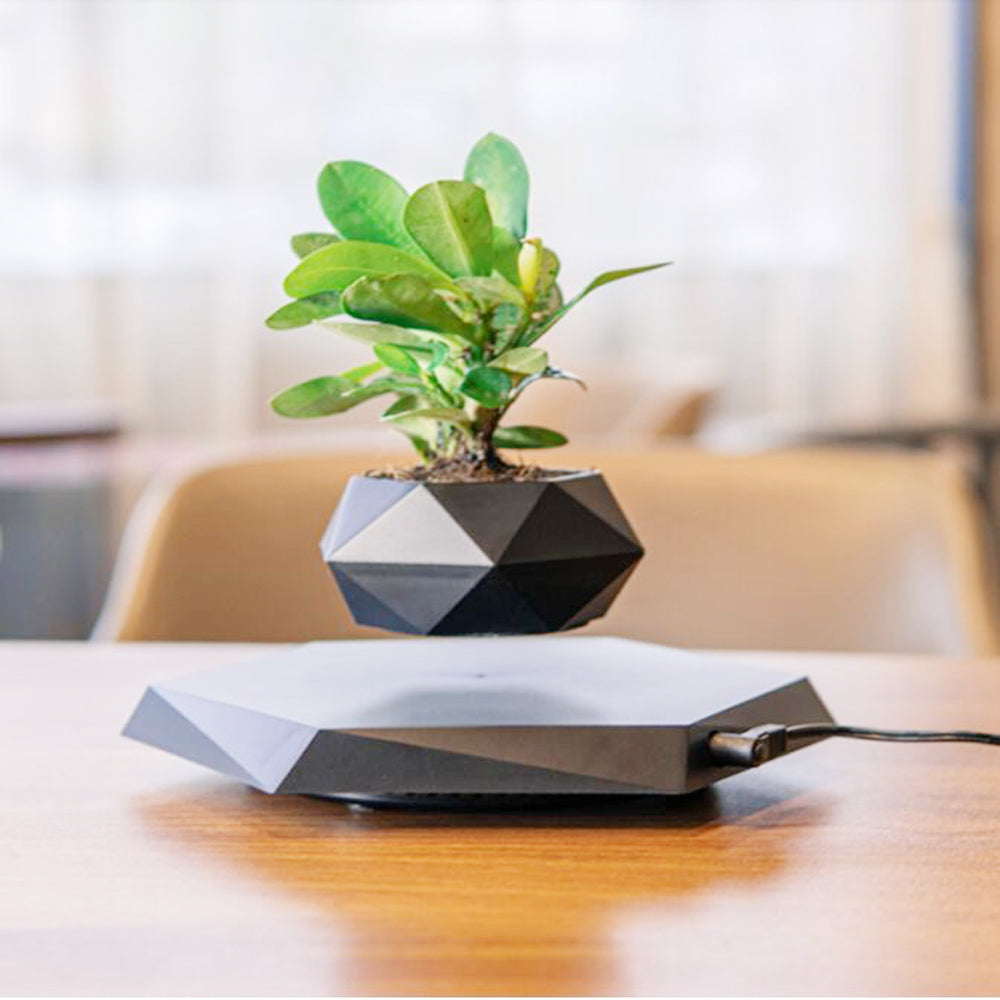 Floating Magnetic Levitating Flower Pot Moderne Vases