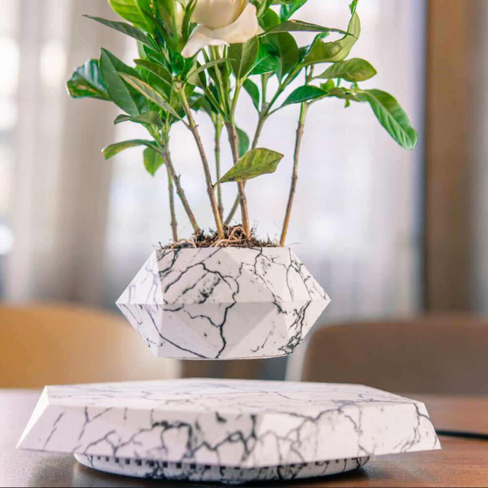 Floating Magnetic Levitating Flower Pot Moderne Vases