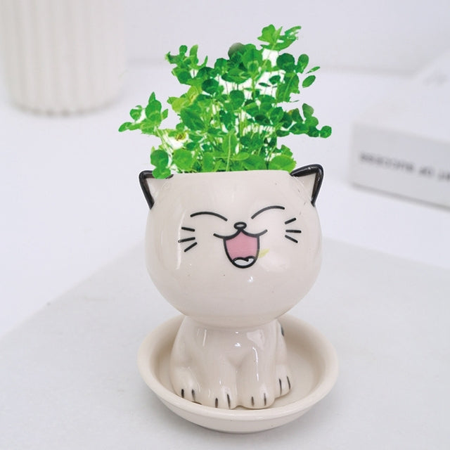 Japanese Cartoon Cat Ceramic Plant Pot Moderne Vases