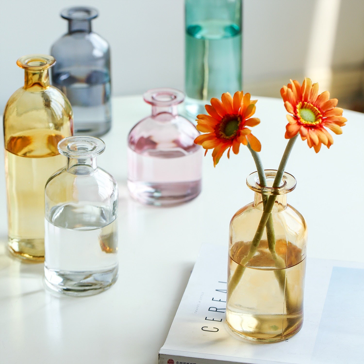 Nordic Stylish Glass Vases Moderne Vases