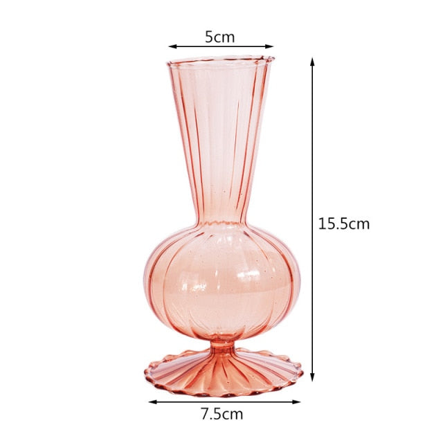 Hydroponic Plant Glass Moderne Vases