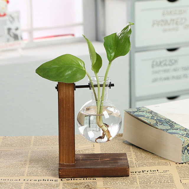 Hydroponic Plant Vases Moderne Vases