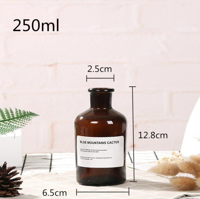 Apothecary Glass Vase Moderne Vases