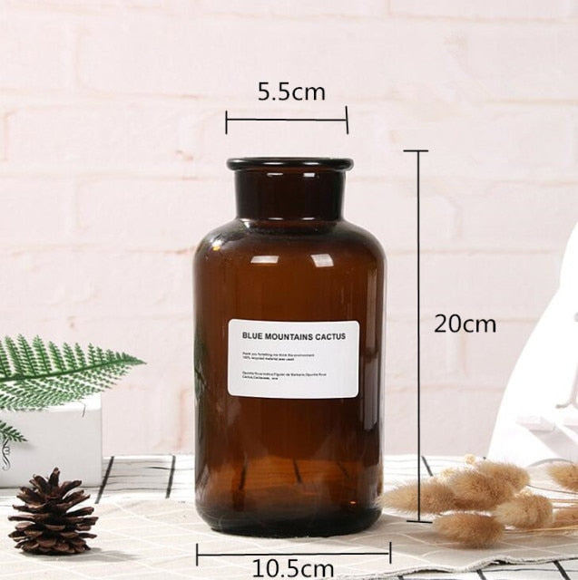 Apothecary Glass Vase Moderne Vases