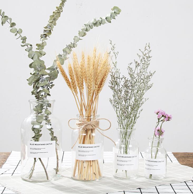 Apothecary Glass Vase Moderne Vases