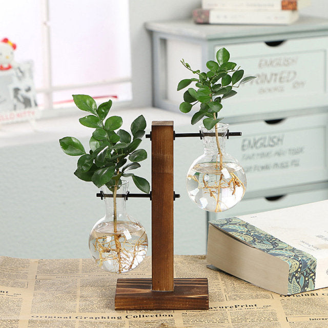 Hydroponic Plant Vases Moderne Vases