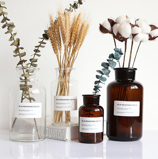 Apothecary Glass Vase Moderne Vases