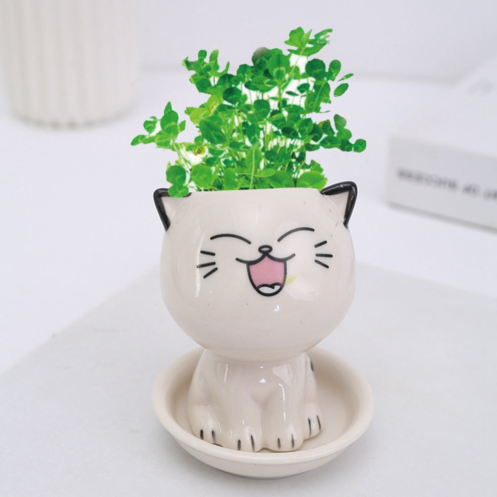Japanese Cartoon Cat Ceramic Plant Pot Moderne Vases