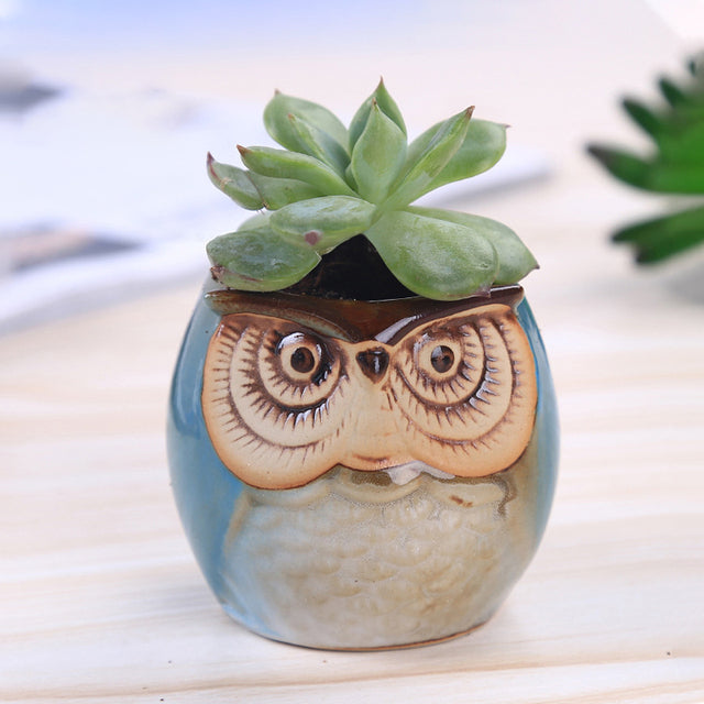 Mini Owl Ceramic Plant Pots Moderne Vases