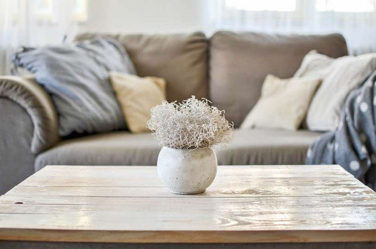 How to choose the best vase for your home