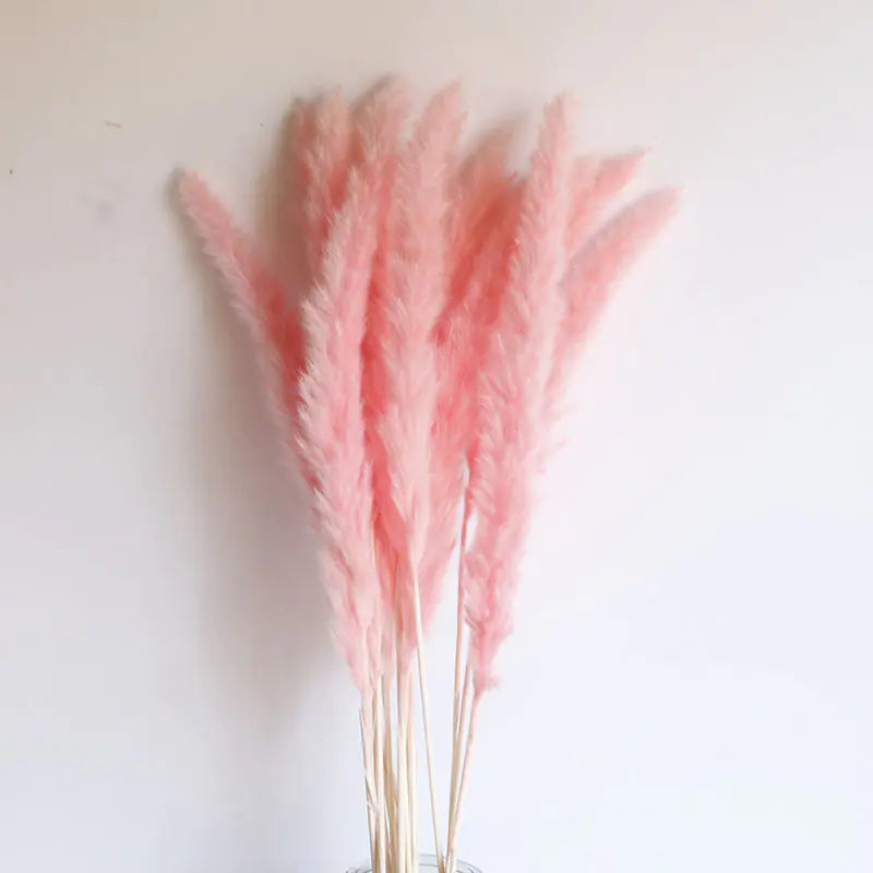 Dried Pampas Bouquet, 15 Stems Moderne Vases