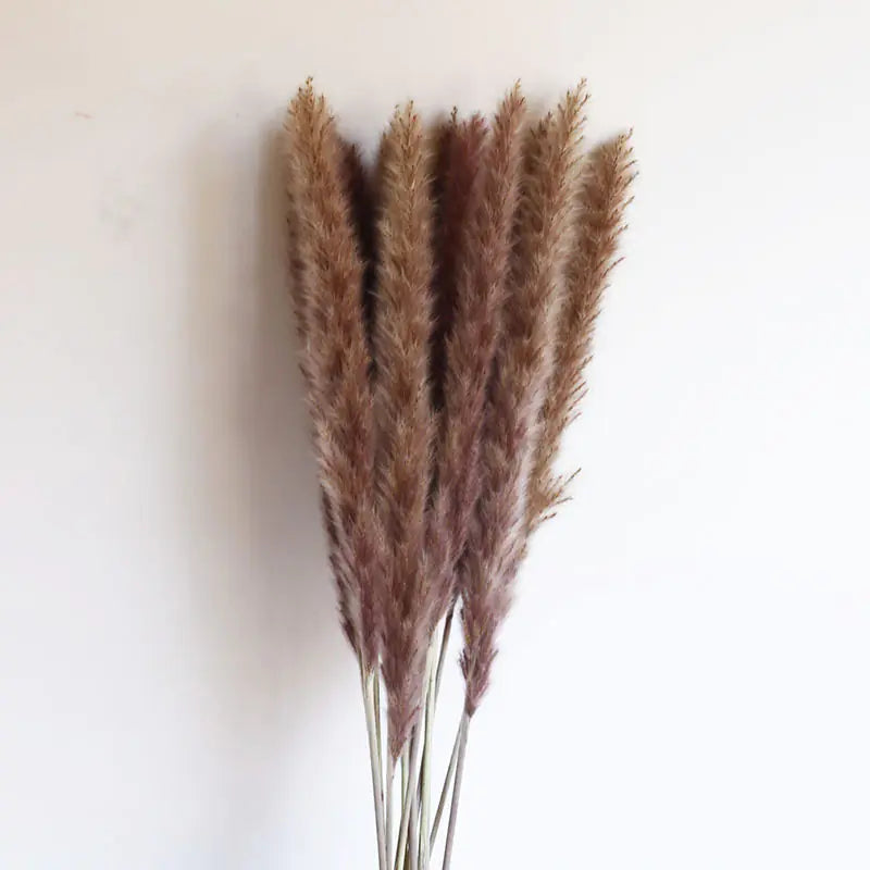 Dried Pampas Bouquet, 15 Stems Moderne Vases
