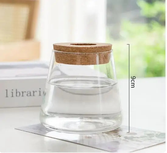 Hydroponic Plant Glass Vase Moderne Vases