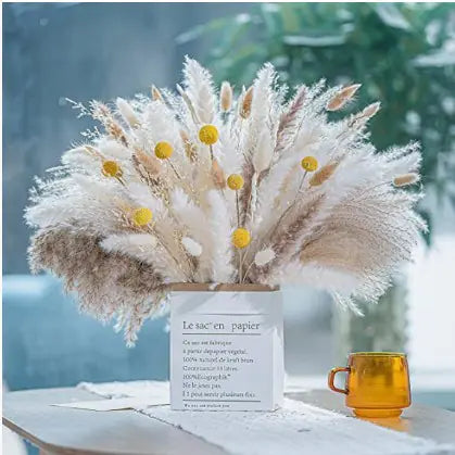 Dried Pampas Bouquet, 15 Stems Moderne Vases