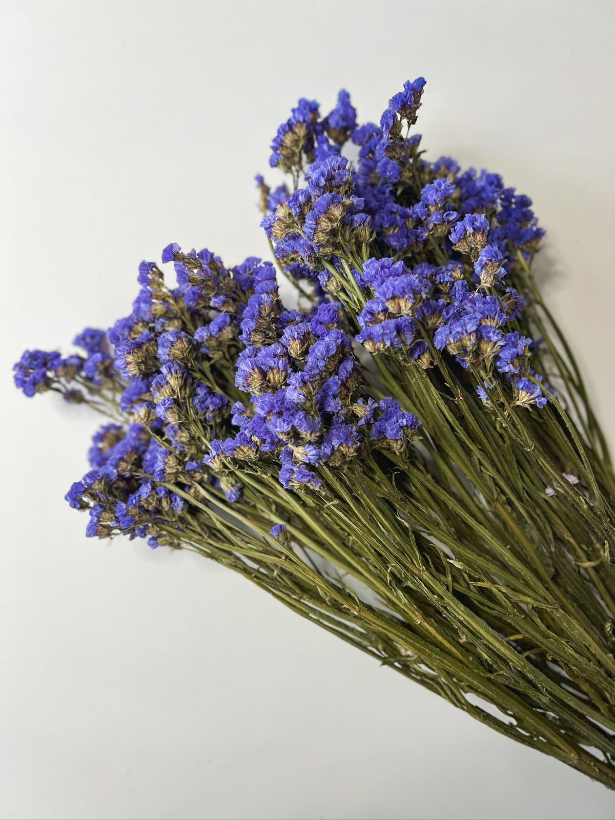 Dried Flowers-Statice Blue Sunny Meadows Flower Farm