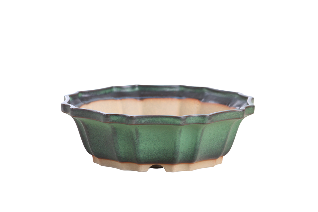 Flower Design Bonsai Pot 8 Inch – Elegant Ceramic Bonsai & Succulent Planter, High‑Fired Frost‑Proof Stoneware with Drainage & Wiring Holes, Handmade in USA (Avocado) Willow Bonsai Ceramics