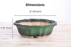 Flower Design Bonsai Pot 8 Inch – Elegant Ceramic Bonsai & Succulent Planter, High‑Fired Frost‑Proof Stoneware with Drainage & Wiring Holes, Handmade in USA (Avocado) Willow Bonsai Ceramics