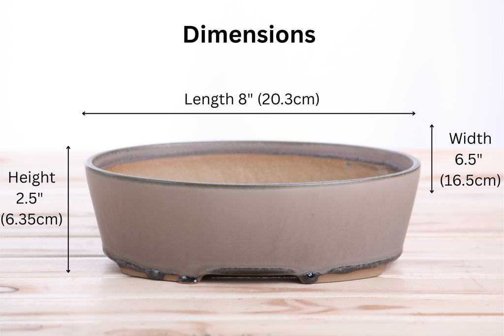 Oval A Bonsai Pot 8 Inch – Straight‑Sided Oval Ceramic Bonsai & Succulent Planter, High‑Fired Frost‑Proof Stoneware with Drainage & Wiring Holes, Handmade in USA (Ocean) Willow Bonsai Ceramics