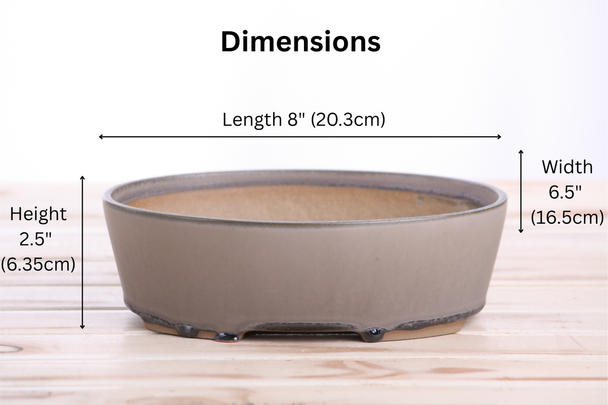 Oval A Bonsai Pot 8 Inch – Straight‑Sided Oval Ceramic Bonsai & Succulent Planter, High‑Fired Frost‑Proof Stoneware with Drainage & Wiring Holes, Handmade in USA (Ocean) Willow Bonsai Ceramics