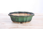Flower Design Bonsai Pot 8 Inch – Elegant Ceramic Bonsai & Succulent Planter, High‑Fired Frost‑Proof Stoneware with Drainage & Wiring Holes, Handmade in USA (Avocado) Willow Bonsai Ceramics