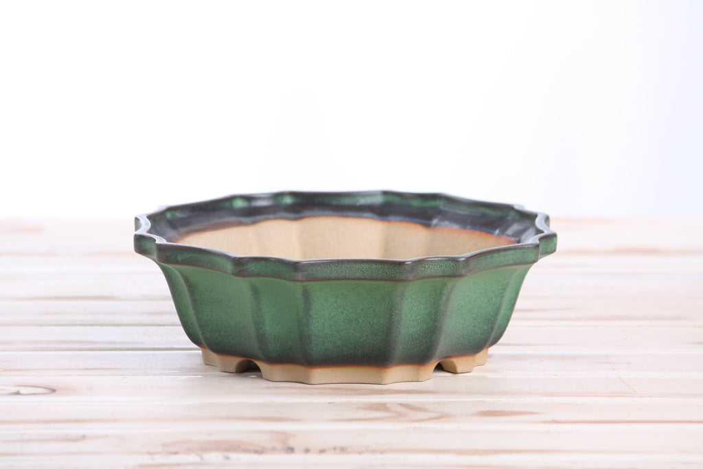 Flower Design Bonsai Pot 8 Inch – Elegant Ceramic Bonsai & Succulent Planter, High‑Fired Frost‑Proof Stoneware with Drainage & Wiring Holes, Handmade in USA (Avocado) Willow Bonsai Ceramics