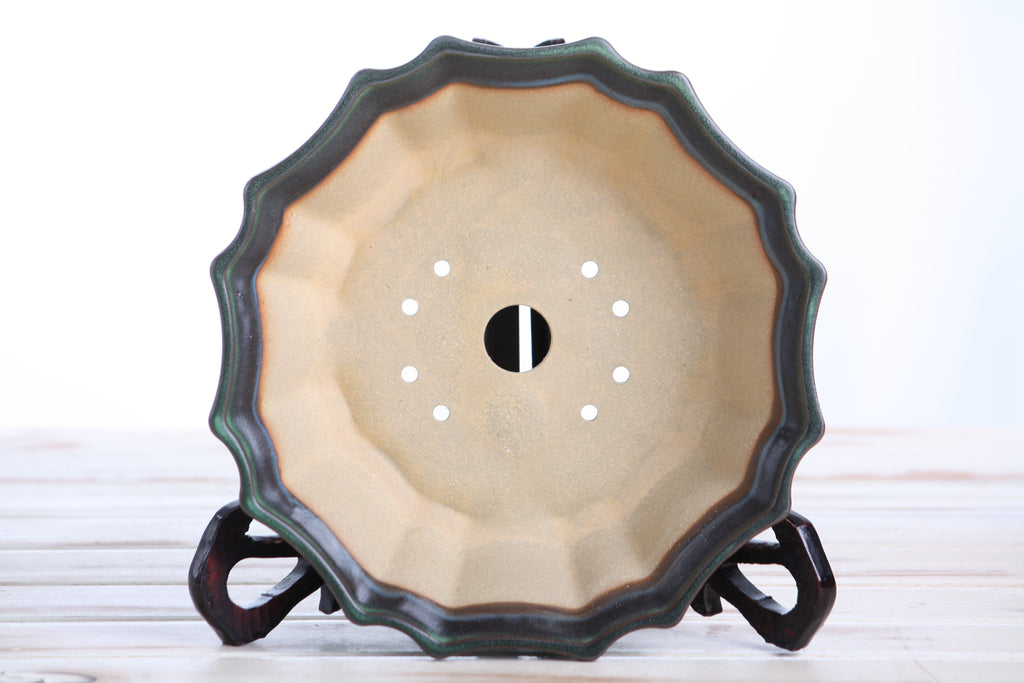 Flower Design Bonsai Pot 8 Inch – Elegant Ceramic Bonsai & Succulent Planter, High‑Fired Frost‑Proof Stoneware with Drainage & Wiring Holes, Handmade in USA (Avocado) Willow Bonsai Ceramics