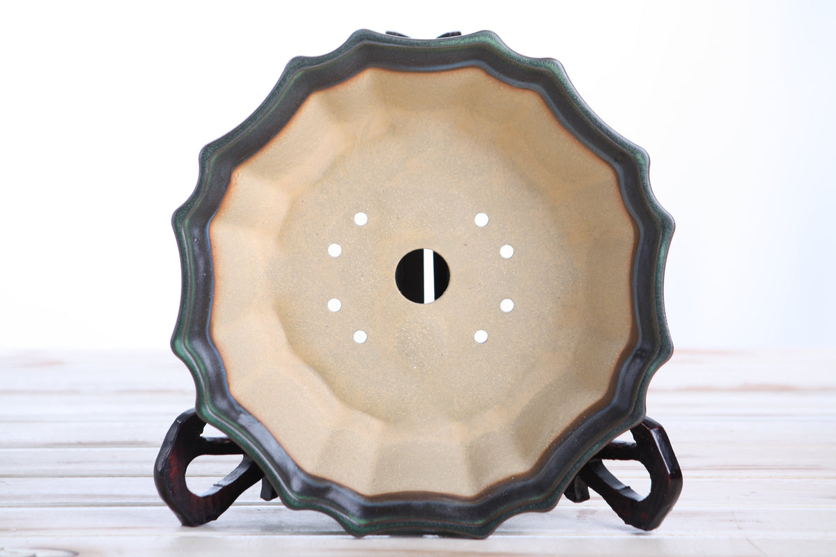 Flower Design Bonsai Pot 8 Inch – Elegant Ceramic Bonsai & Succulent Planter, High‑Fired Frost‑Proof Stoneware with Drainage & Wiring Holes, Handmade in USA (Avocado) Willow Bonsai Ceramics