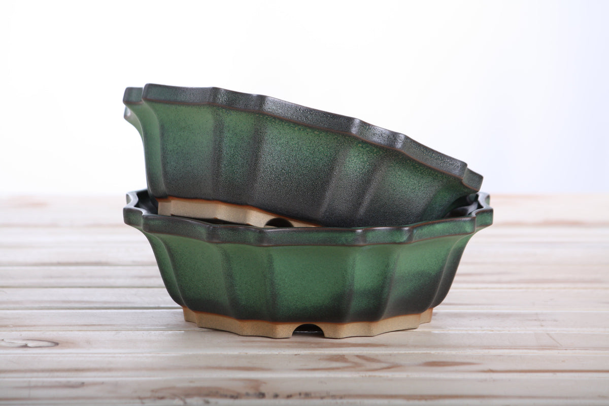 Flower Design Bonsai Pot 8 Inch – Elegant Ceramic Bonsai & Succulent Planter, High‑Fired Frost‑Proof Stoneware with Drainage & Wiring Holes, Handmade in USA (Avocado) Willow Bonsai Ceramics