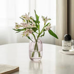 Minimalist Clear Glass Flower Vase DECORBITES
