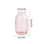 Minimalist Clear Glass Flower Vase DECORBITES