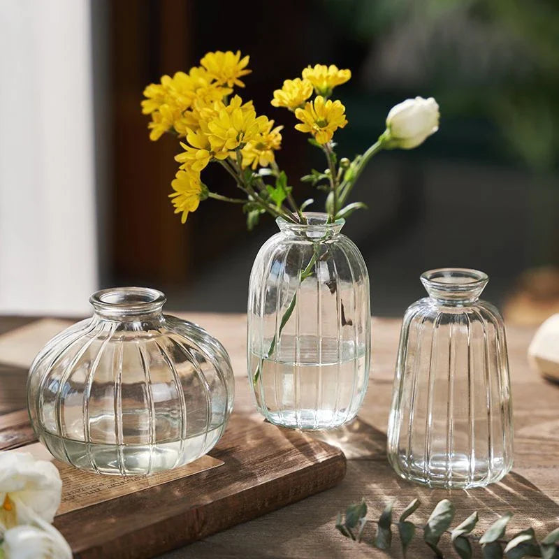 Minimalist Clear Glass Flower Vase DECORBITES