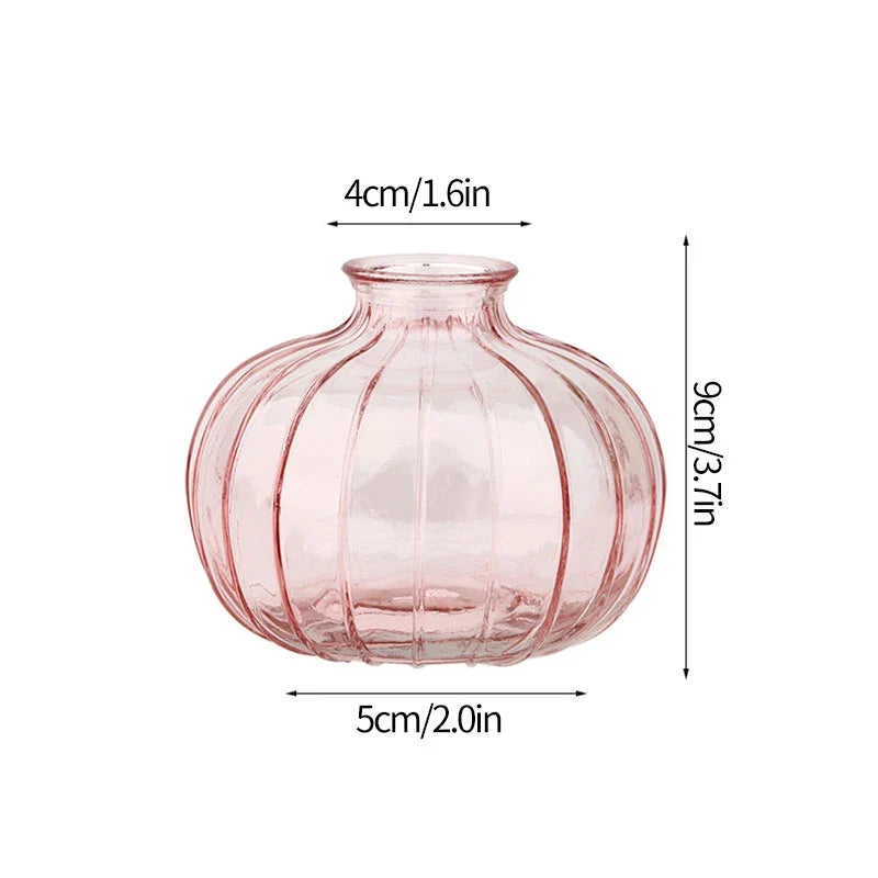 Minimalist Clear Glass Flower Vase DECORBITES