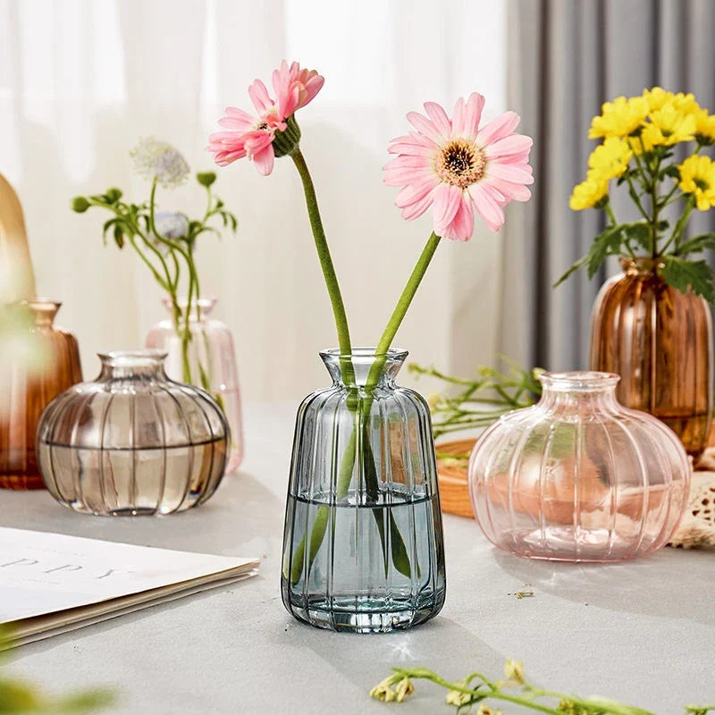Minimalist Clear Glass Flower Vase DECORBITES