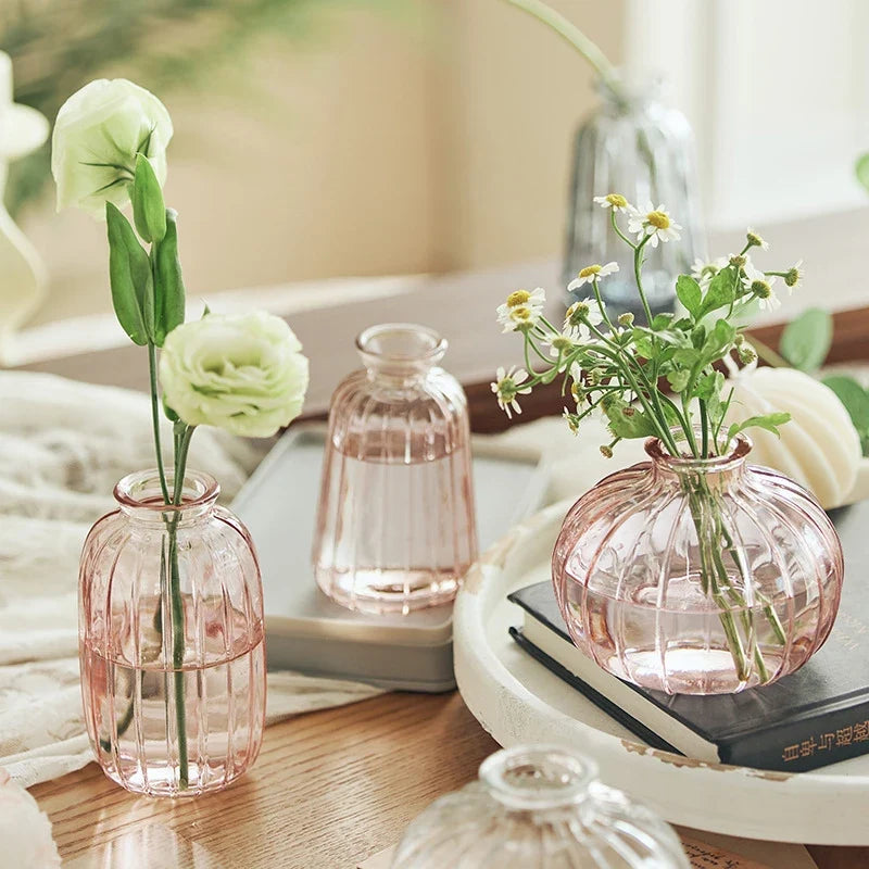 Minimalist Clear Glass Flower Vase DECORBITES
