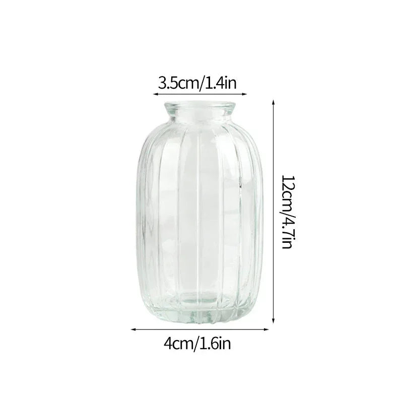 Minimalist Clear Glass Flower Vase DECORBITES