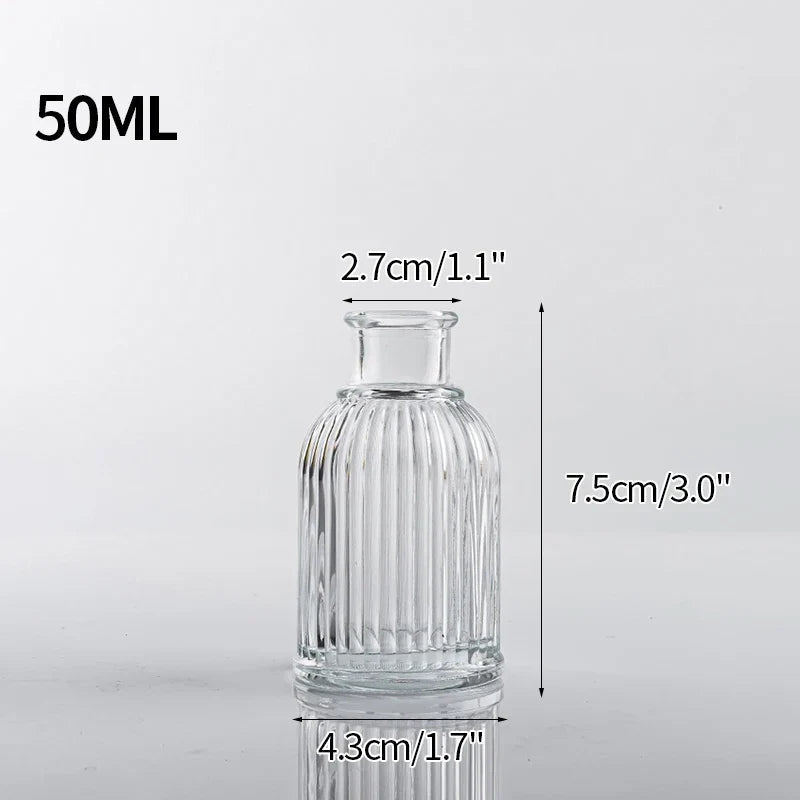 Minimalist Clear Glass Flower Vase DECORBITES