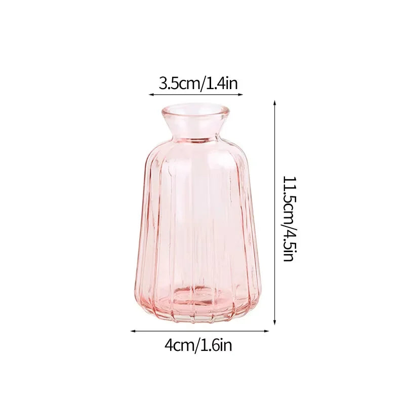 Minimalist Clear Glass Flower Vase DECORBITES