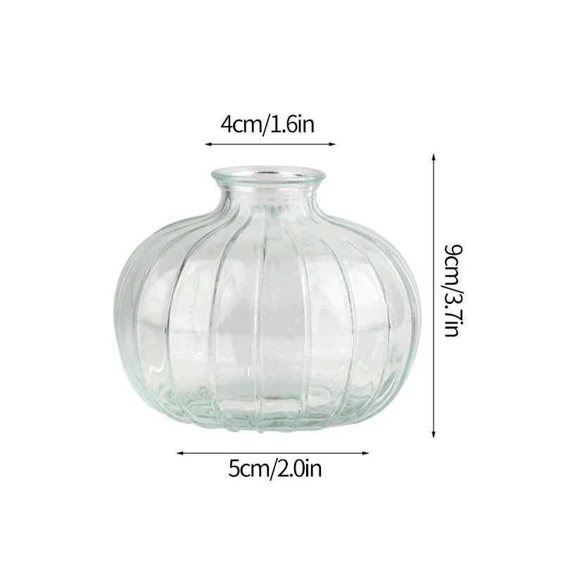 Minimalist Clear Glass Flower Vase DECORBITES