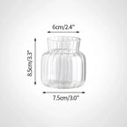 Minimalist Clear Glass Flower Vase DECORBITES