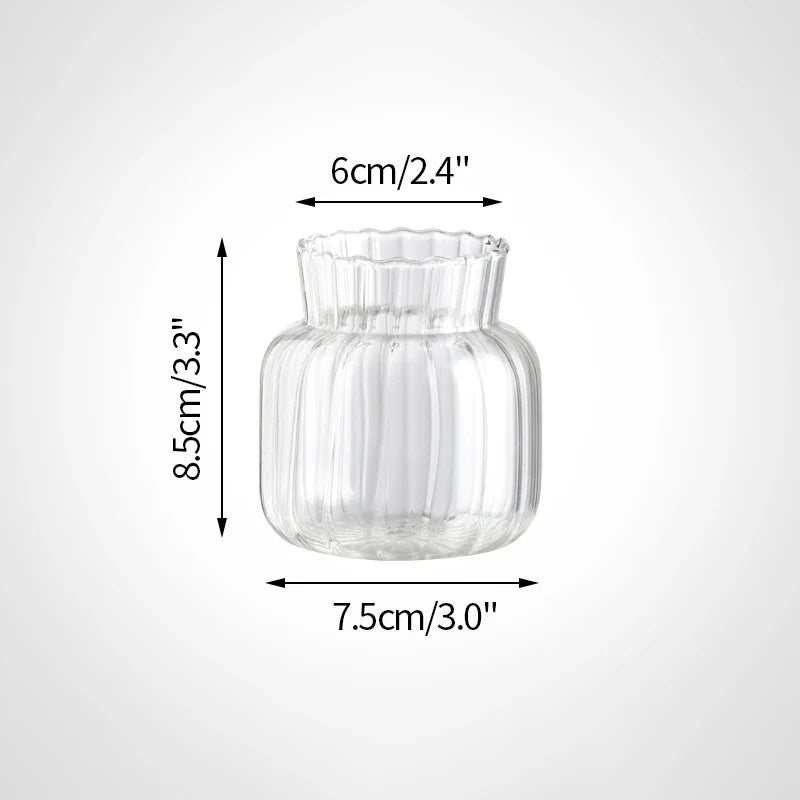 Minimalist Clear Glass Flower Vase DECORBITES