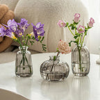 Minimalist Clear Glass Flower Vase DECORBITES