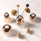 Nordic Modern Gold-Plated Glass Vase Moderne Vases