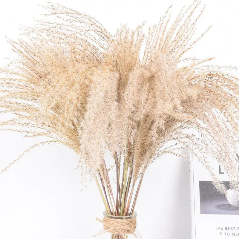 Dried Reed Bouquet Moderne Vases