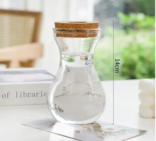 Hydroponic Plant Glass Vase Moderne Vases